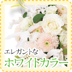 エレガントなホワイトカラー