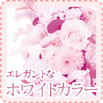 エレガントなホワイトカラー