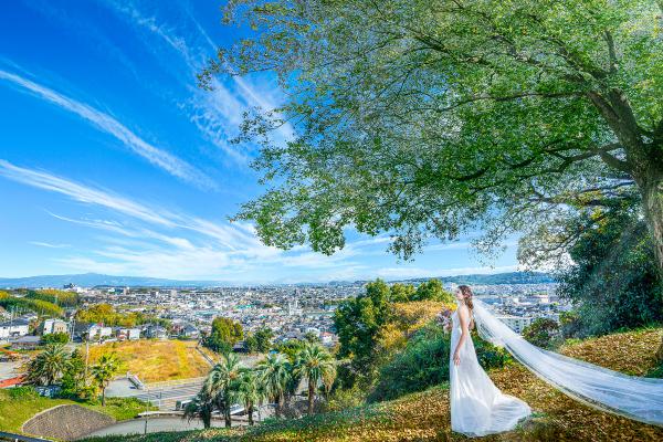 四季の丘　seasons with 