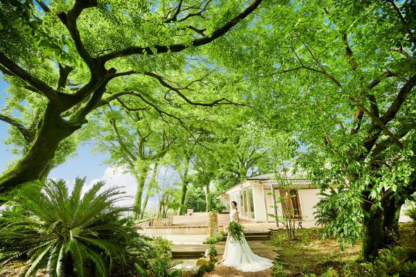 メゾン・ド・フォレスト 